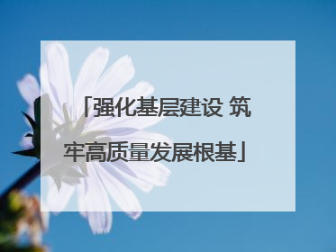 强化基层建设 筑牢高质量发展根基
