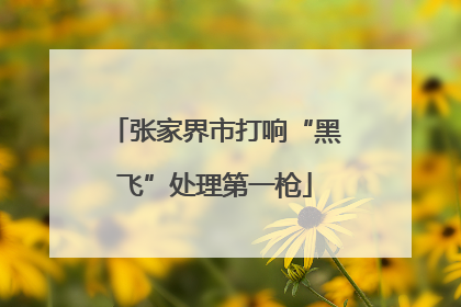 张家界市打响“黑飞”处理第一枪