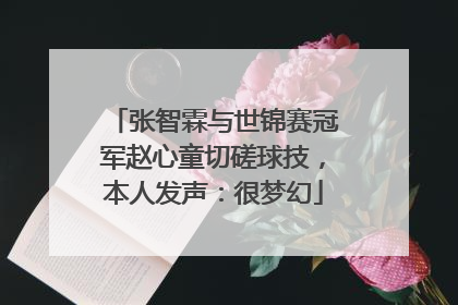 张智霖与世锦赛冠军赵心童切磋球技，本人发声：很梦幻