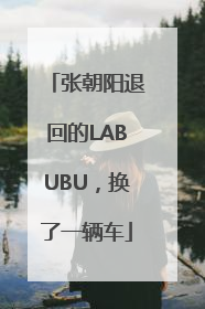 张朝阳退回的LABUBU，换了一辆车