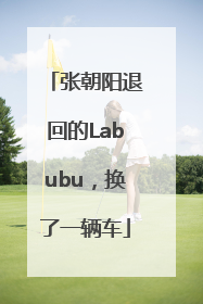 张朝阳退回的Labubu，换了一辆车