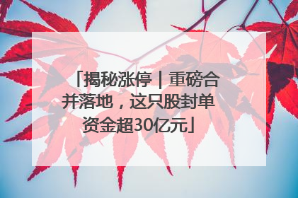 揭秘涨停｜重磅合并落地，这只股封单资金超30亿元