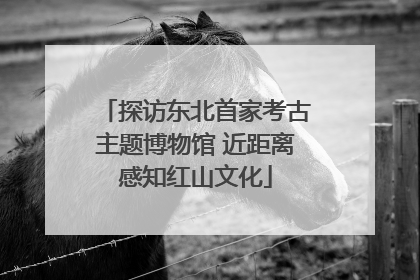 探访东北首家考古主题博物馆 近距离感知红山文化