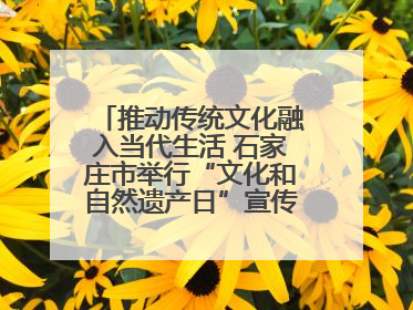 推动传统文化融入当代生活 石家庄市举行“文化和自然遗产日”宣传展示活动
