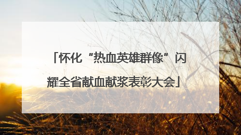 怀化“热血英雄群像”闪耀全省献血献浆表彰大会