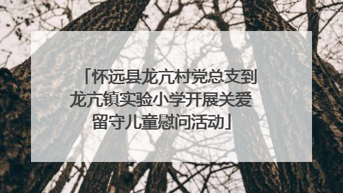 怀远县龙亢村党总支到龙亢镇实验小学开展关爱留守儿童慰问活动