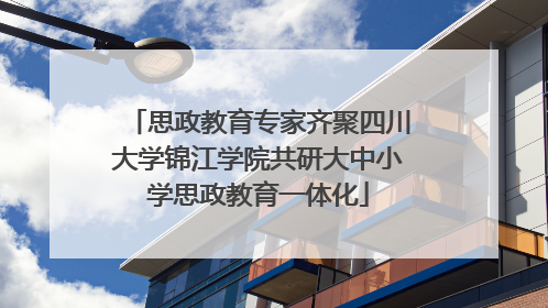 思政教育专家齐聚四川大学锦江学院共研大中小学思政教育一体化