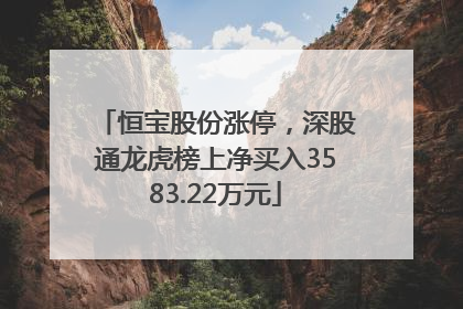 恒宝股份涨停，深股通龙虎榜上净买入3583.22万元