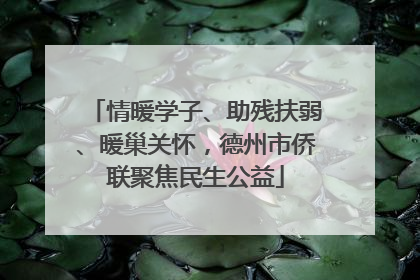 情暖学子、助残扶弱、暖巢关怀，德州市侨联聚焦民生公益