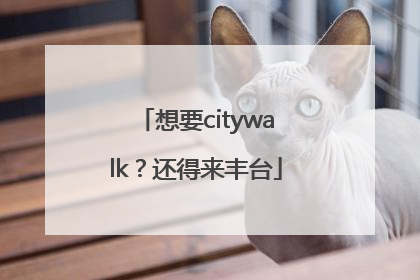 想要citywalk？还得来丰台