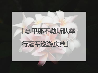 意甲那不勒斯队举行冠军巡游庆典