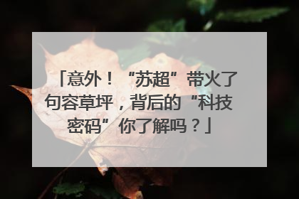意外！“苏超”带火了句容草坪，背后的“科技密码”你了解吗？