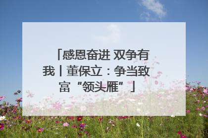 感恩奋进 双争有我丨董保立：争当致富“领头雁”