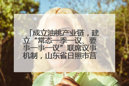 成立油桃产业链，建立“常态一季一议、要事一事一议”联席议事机制，山东省日照市莒县果庄镇——13个党小组“全周期”育果