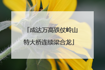 成达万高铁仗岭山特大桥连续梁合龙