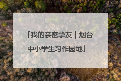 我的亲密挚友｜烟台中小学生习作园地