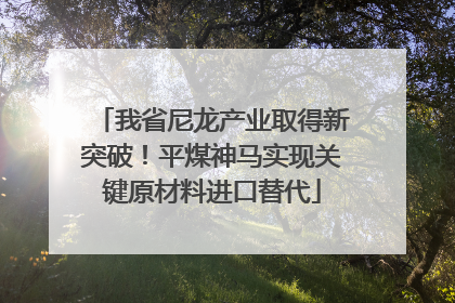 我省尼龙产业取得新突破！平煤神马实现关键原材料进口替代