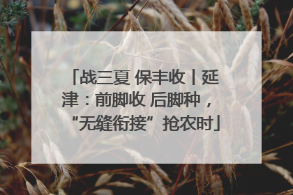 战三夏 保丰收丨延津：前脚收 后脚种，“无缝衔接”抢农时