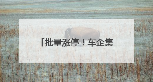 批量涨停！车企集中承诺60天支付