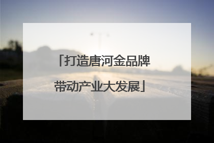 打造唐河金品牌 带动产业大发展