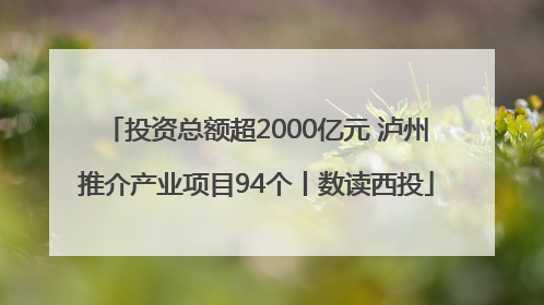 投资总额超2000亿元 泸州推介产业项目94个丨数读西投