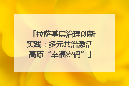 拉萨基层治理创新实践：多元共治激活高原“幸福密码”