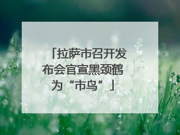 拉萨市召开发布会官宣黑颈鹤为“市鸟”