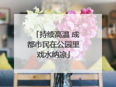 持续高温 成都市民在公园里戏水纳凉