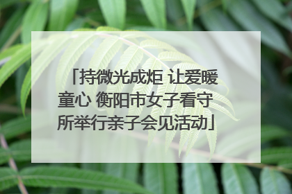 持微光成炬 让爱暖童心 衡阳市女子看守所举行亲子会见活动