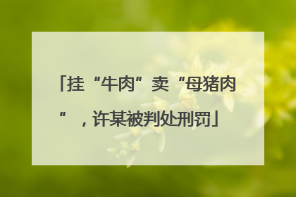 挂“牛肉”卖“母猪肉”，许某被判处刑罚