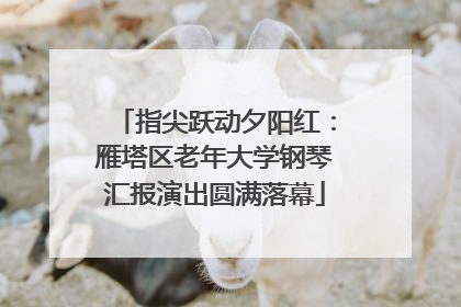 指尖跃动夕阳红：雁塔区老年大学钢琴汇报演出圆满落幕
