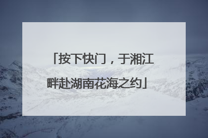 按下快门，于湘江畔赴湖南花海之约