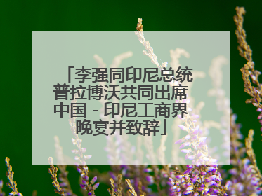 李强同印尼总统普拉博沃共同出席中国－印尼工商界晚宴并致辞