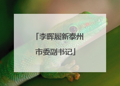 李晖履新泰州市委副书记