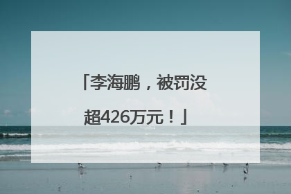李海鹏，被罚没超426万元！