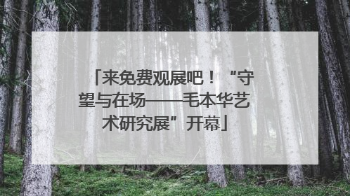 来免费观展吧！“守望与在场——毛本华艺术研究展”开幕