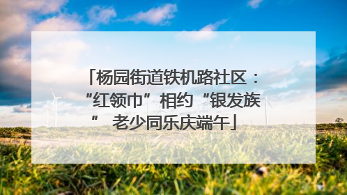 杨园街道铁机路社区：“红领巾”相约“银发族” 老少同乐庆端午