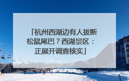 杭州西湖边有人拔断松鼠尾巴？西湖景区：正展开调查核实