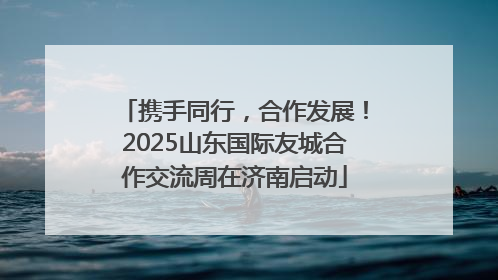 携手同行，合作发展！2025山东国际友城合作交流周在济南启动