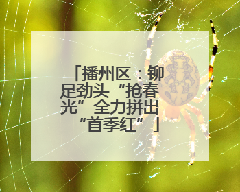 播州区：铆足劲头“抢春光”全力拼出“首季红”