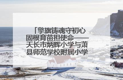 擎旗铸魂守初心 固根育苗担使命——天长市炳辉小学与萧县师范学校附属小学结对共建活动纪实