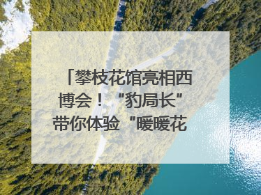 攀枝花馆亮相西博会！“豹局长”带你体验“暖暖花城”独特魅力｜西博视界