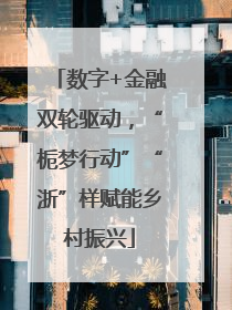 数字+金融双轮驱动，“栀梦行动”“浙”样赋能乡村振兴
