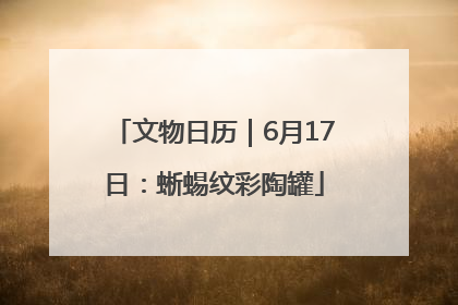 文物日历｜6月17日：蜥蜴纹彩陶罐