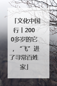 文化中国行丨2000多岁的它，“飞”进了寻常百姓家