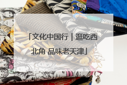 文化中国行｜逛吃西北角 品味老天津