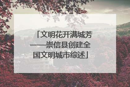 文明花开满城芳——崇信县创建全国文明城市综述