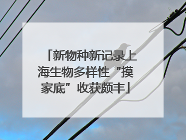 新物种新记录上海生物多样性“摸家底”收获颇丰