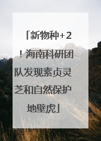 新物种+2！海南科研团队发现素贞灵芝和自然保护地壁虎