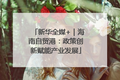 新华全媒+｜海南自贸港：政策创新赋能产业发展